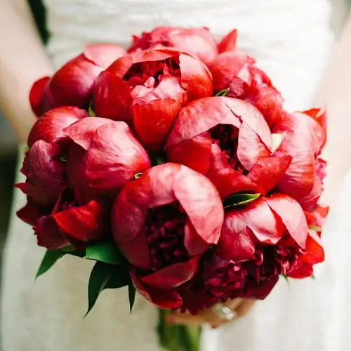 Букет невесты 11  красных пионов 