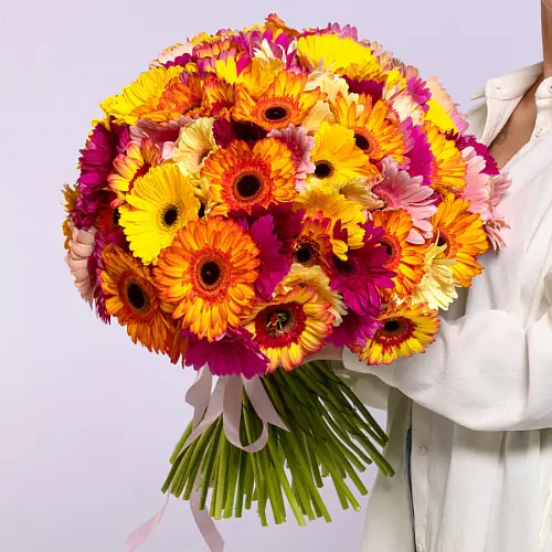 101 Гербера Микс