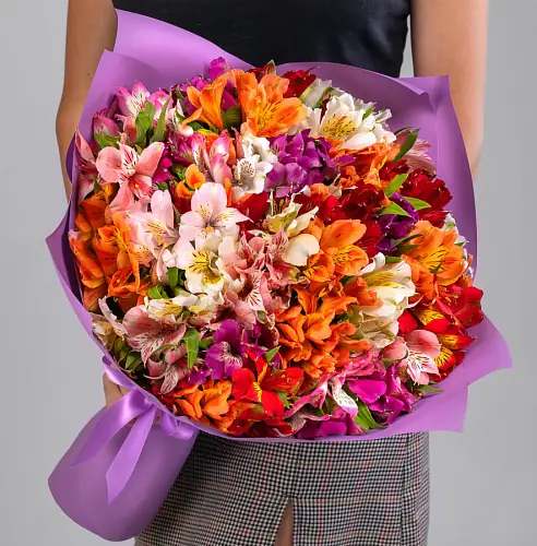 35 Альстромерий Микс в упаковке 