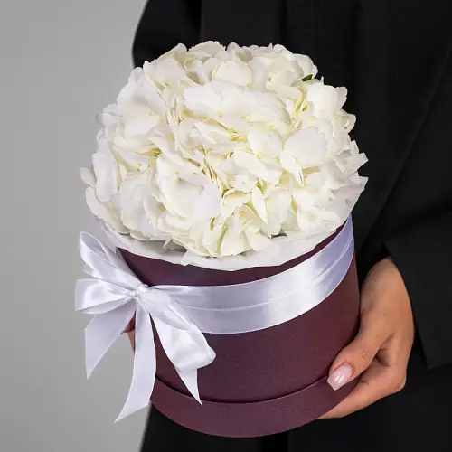 Композиция из Гортензий в коробке