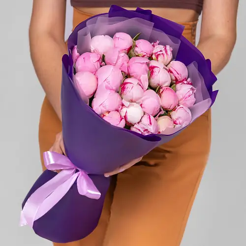 21 Пион Сара Бернар в упаковке 