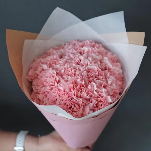 15 Розовых Гвоздик