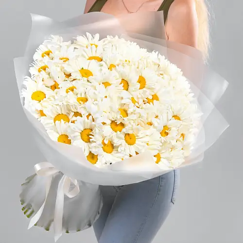 85 Крупных Ромашек