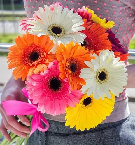 Букет "Гербер"