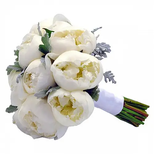 Свадебных букет из белых пионов