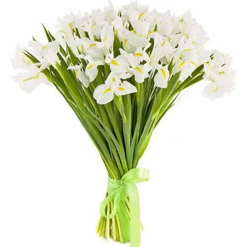 35 Белых Ирисов под ленту 