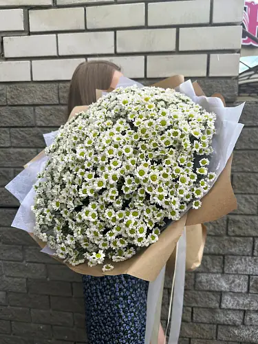 Сантини в крафте 