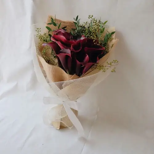 11 Бордовых Калл в упаковке