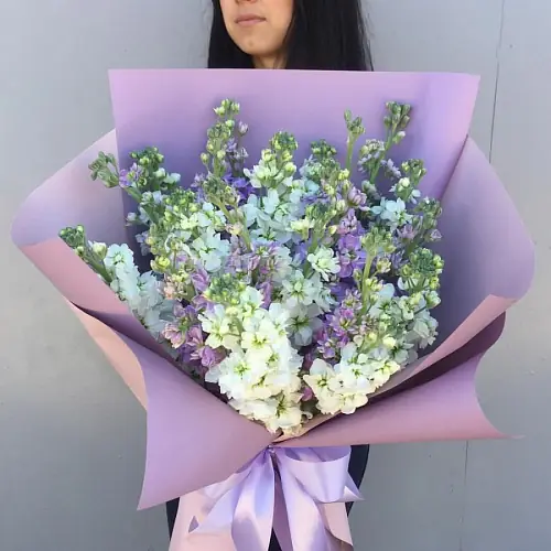 17 Разноцветных Маттиол в упаковке 