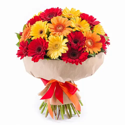 25 Гербер Микс в крафте