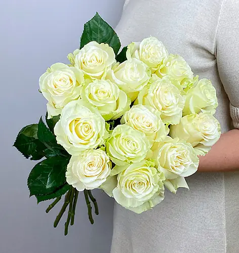 Розы премиум 15 шт