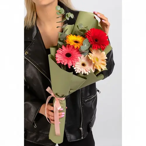 5 Гербер Микс