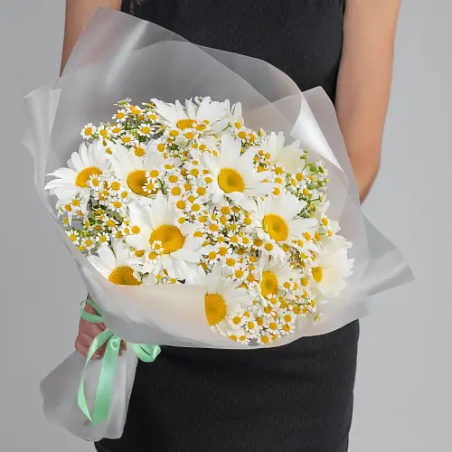 25 Ромашек Микс