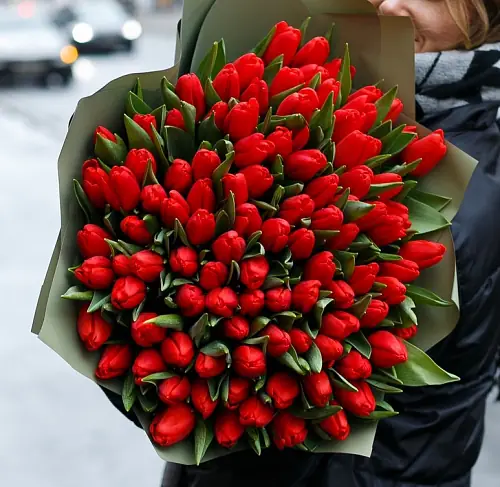 Букет из Красных Тюльпанов в пленке 101 шт