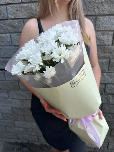 5 Кустовых хризантем в упаковке 