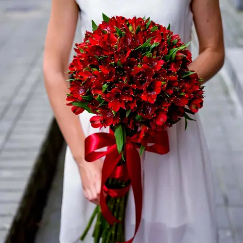   13 Красных Альстромерий