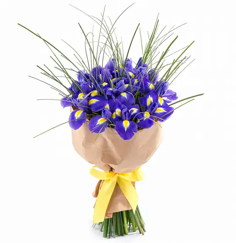 25 Синих Ирисов в крафте