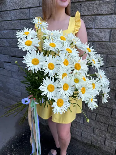 Букет Ромашки