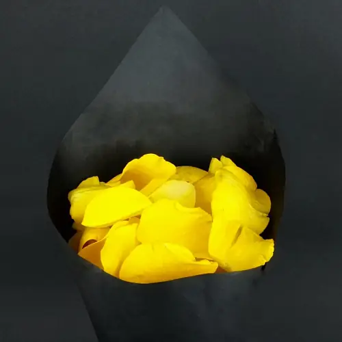 Лепестки роз желтые