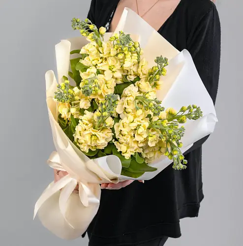 11 Желтых Маттиол в упаковке