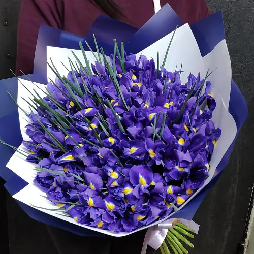 101 Ирис в упаковке 