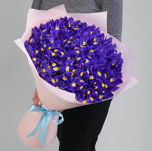 75 Синих Ирисов в упаковке 
