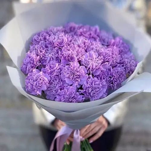 31 Сиреневая Гвоздика в упаковке 