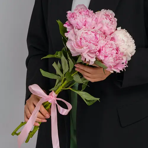 5 Пионов Сара Бернар